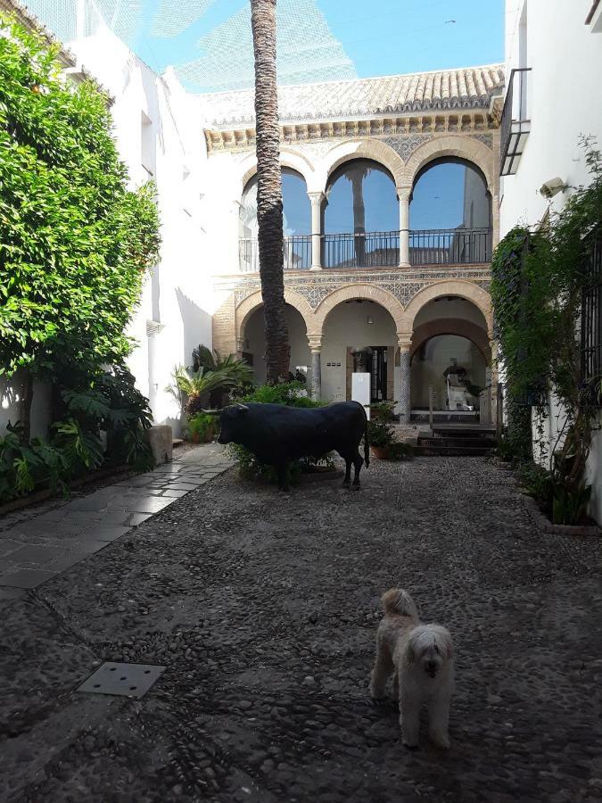 Ferienwohnung Beside The Roman Wall Córdoba Exterior foto